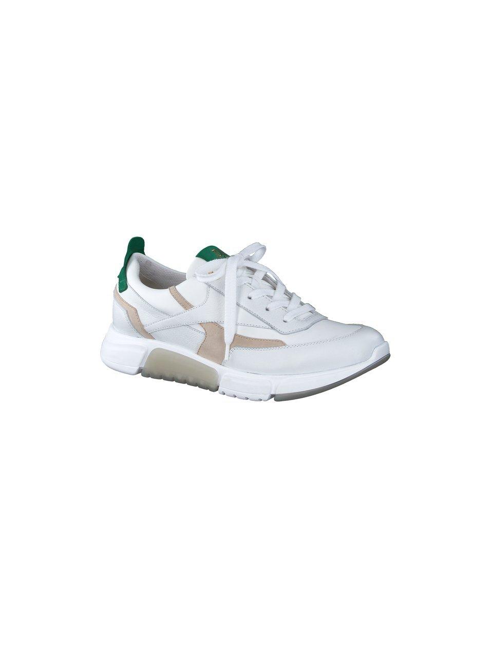 Paul Green - Baskets