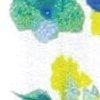 blanc/multicolore-115694