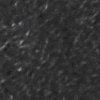 Schwarz-115871