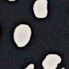 noir/blanc gris-115981