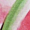 Flamingo/Multicolor-115988