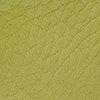 lime-116029