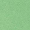 Minze-116149