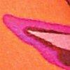 Pink/Multicolor-116152
