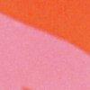 flamant rose/potiron-116155