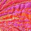 Multicolor-116272