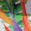 Multicolor-116273