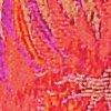 Multicolor-116279