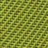 Kiwi-116289