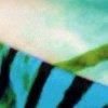 blauw/lichtgroen-116475