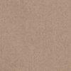 noisette-116683