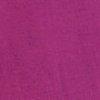 Fuchsia-116719