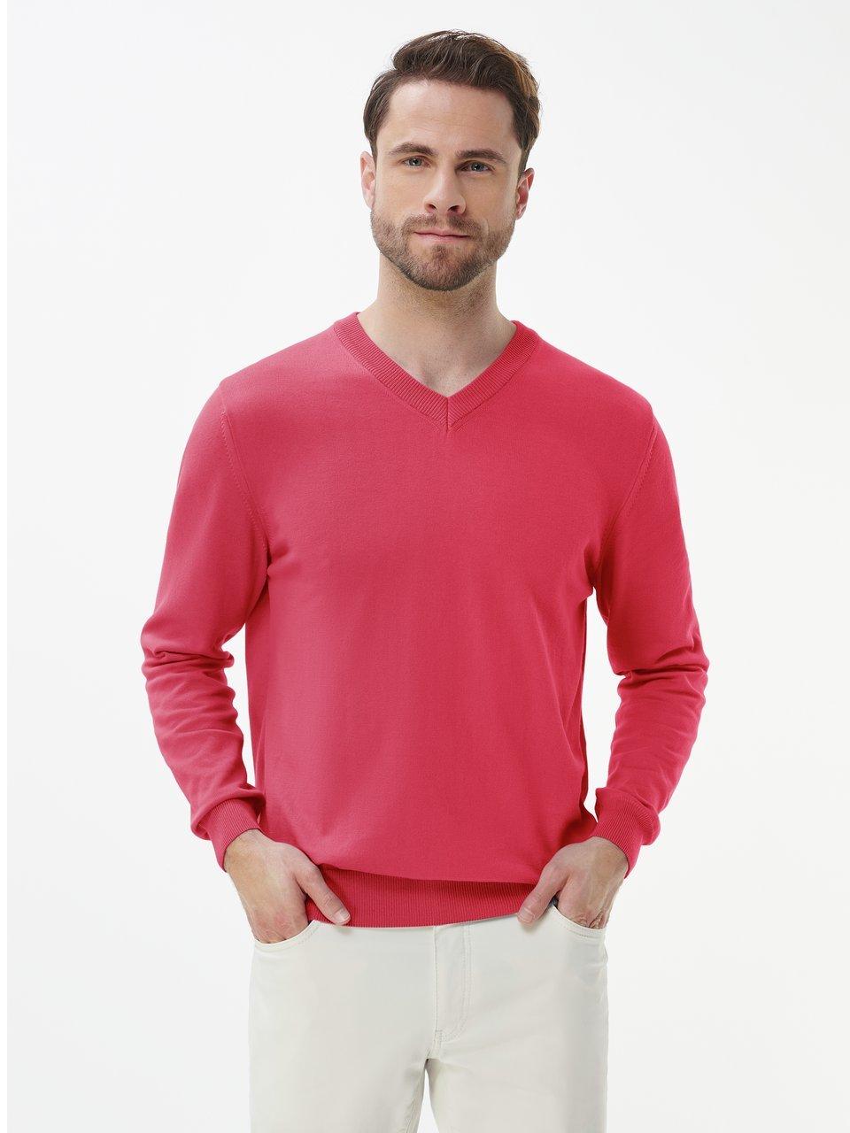 Peter Hahn - V-Pullover