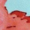Aqua/Koralle-116925