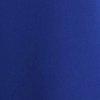 bleu roi-116977