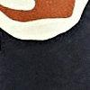 zwart/camel/multicolour-117417