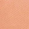 Apricot-117426