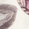 blanc gris/violet/multicolore-117475