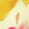 vanille/multicolore-117547