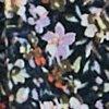 Multicolor/Schwarz-117865