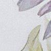 wit/violet-117913