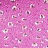 Pink-117960