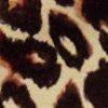 bruin-117973