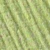 Lime-117975