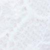 blanc-118441