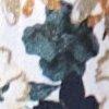 marine/wit/multicolour-118479