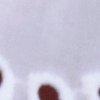 blanc-118767