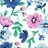 wit/blauw/multicolour-118772