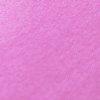fuchsia-118800