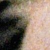 champagne/multicolour-118906