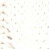 blanc gris-120071