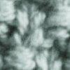 Salbei-120193