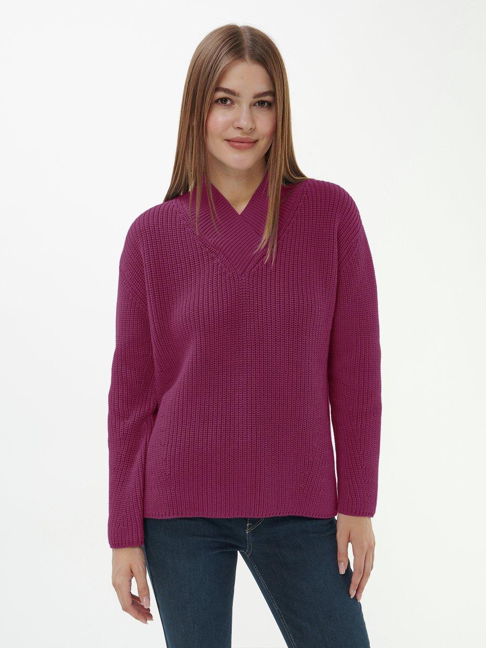 Peter Hahn - Le pull