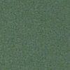 vert pâle-120410