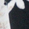 noir/blanc/multicolore-120468