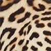 beige foncé/noir/multicolore-120687