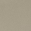 Taupe-120927