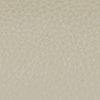 Taupe-120928