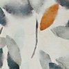multicolore-121176