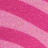 Fuchsia-121197