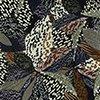 marine/multicolore-121420