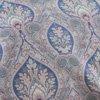 blauw/orchidee-121650