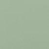 Mint-121907