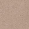 Taupe-122012