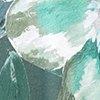 vert pétrole/gris-122129