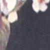 Dunkelbeige/Multicolor-122234